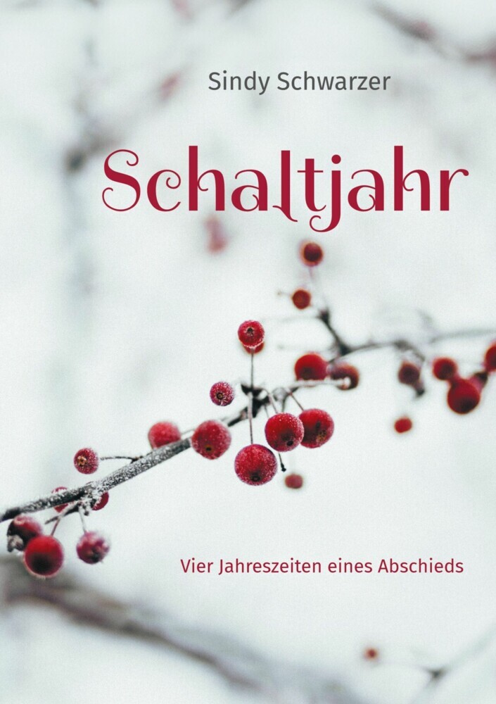 Schaltjahr main product photo