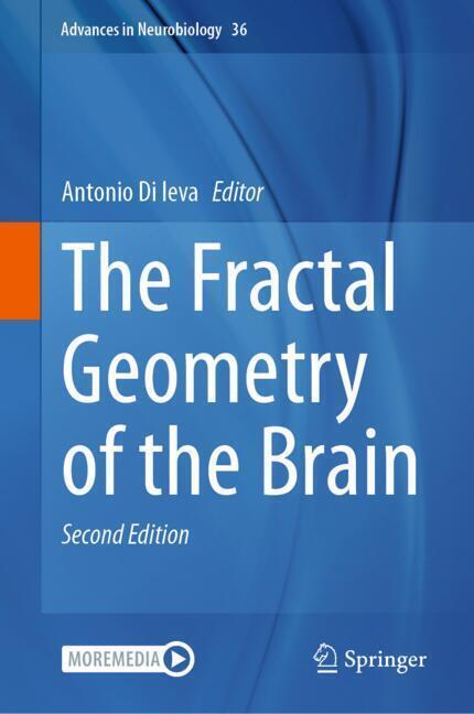 The Fractal Geometry of the Brain main product photo