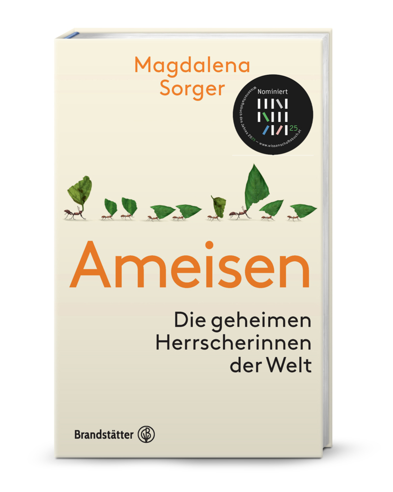 Ameisen main product photo