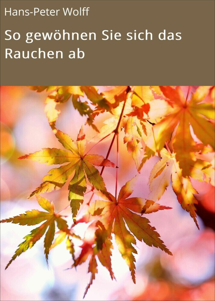 So gewöhnen Sie sich das Rauchen ab main product photo