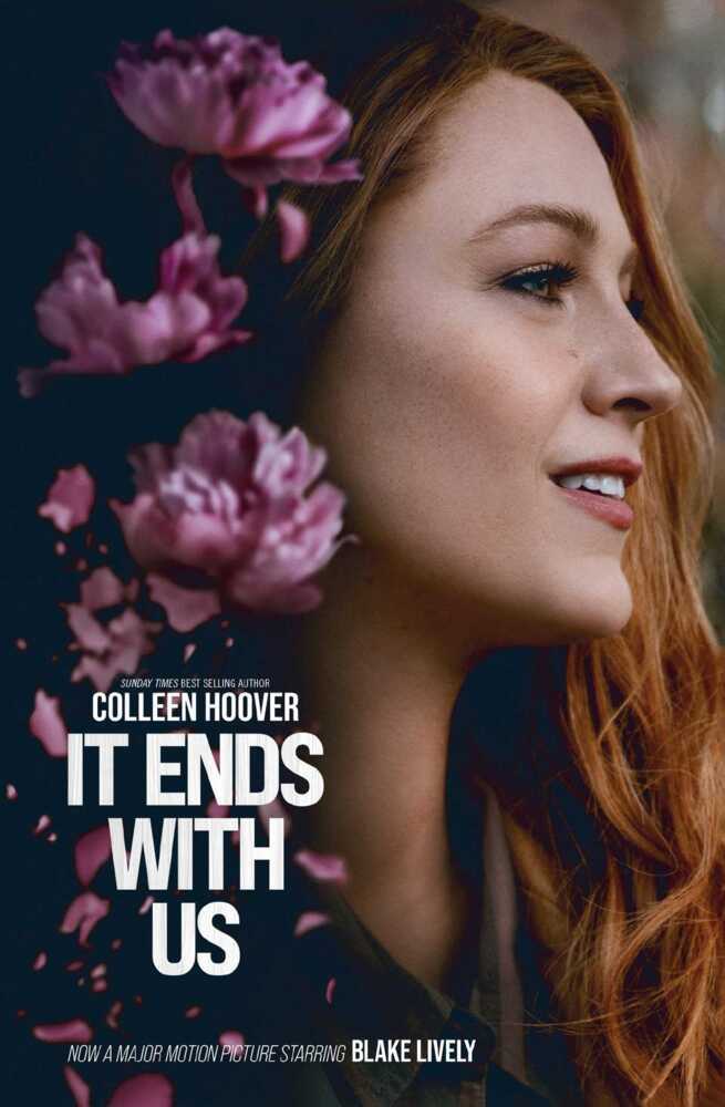 It Ends With Us main product photo