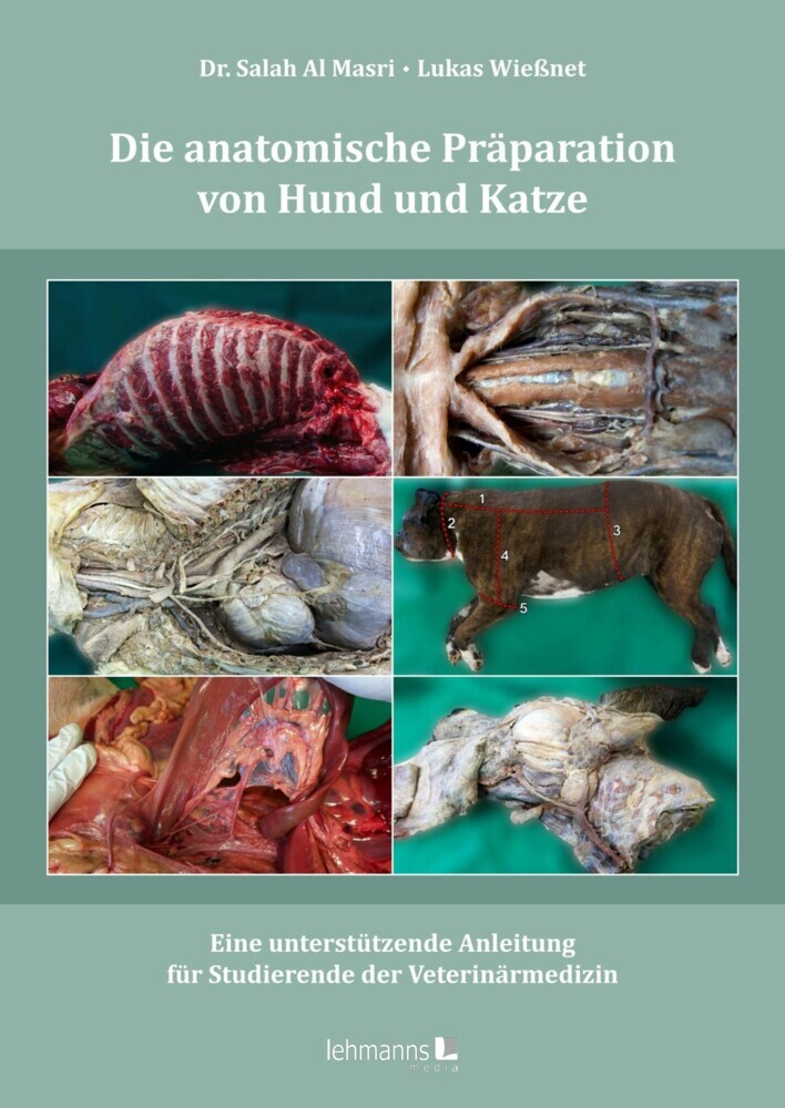 Die anatomische Präparation von Hund und Katze main product photo