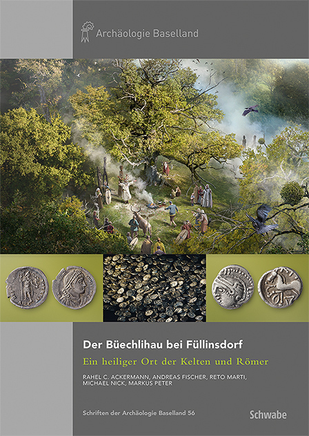 Der Büechlihau bei Füllinsdorf main product photo