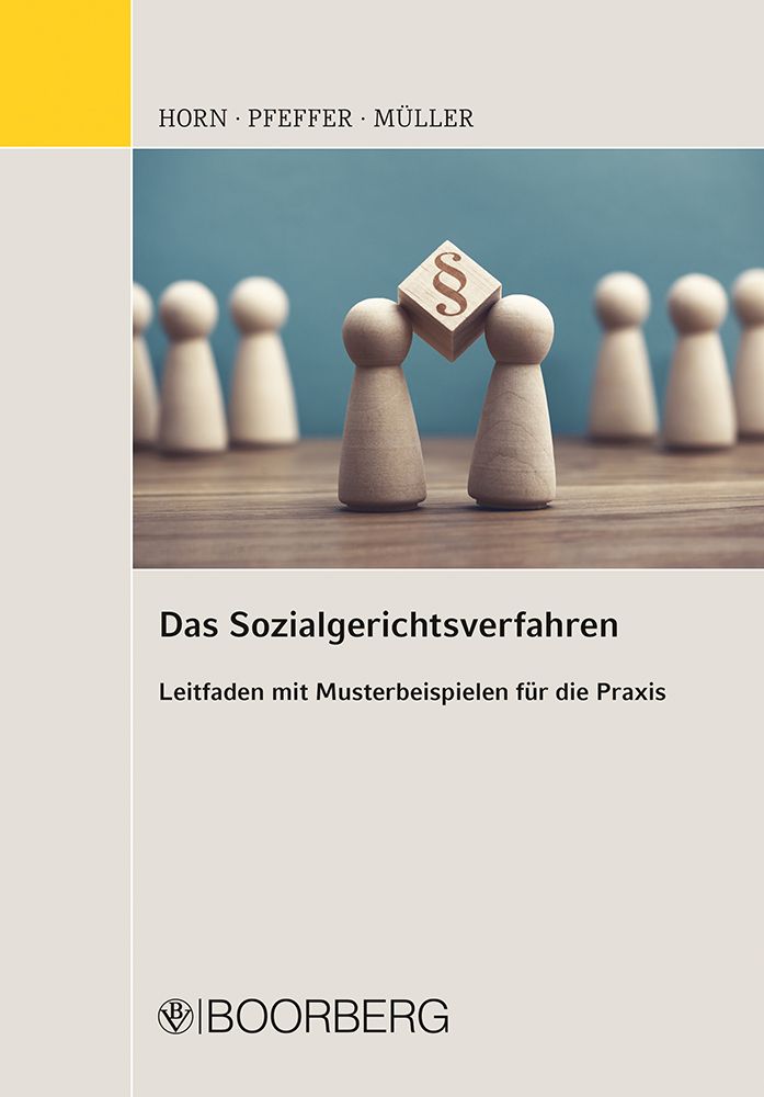 Das Sozialgerichtsverfahren main product photo