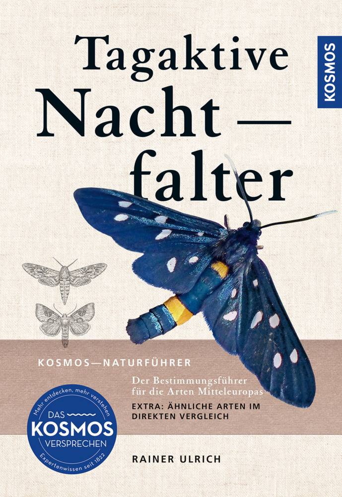 Tagaktive Nachtfalter main product photo