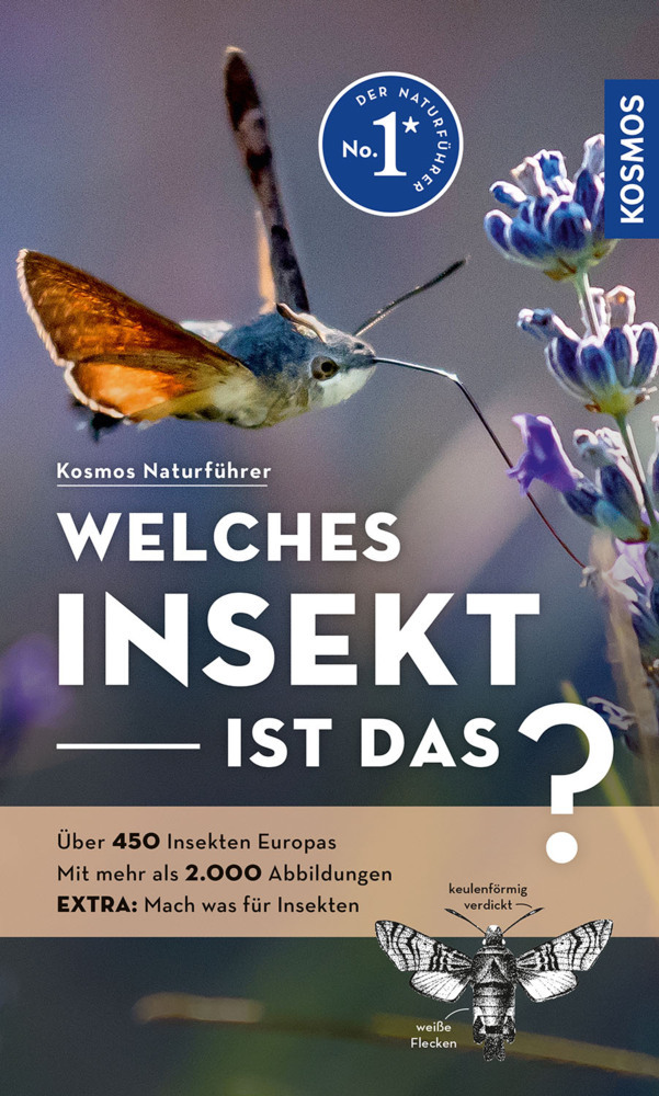 Welches Insekt ist das? main product photo