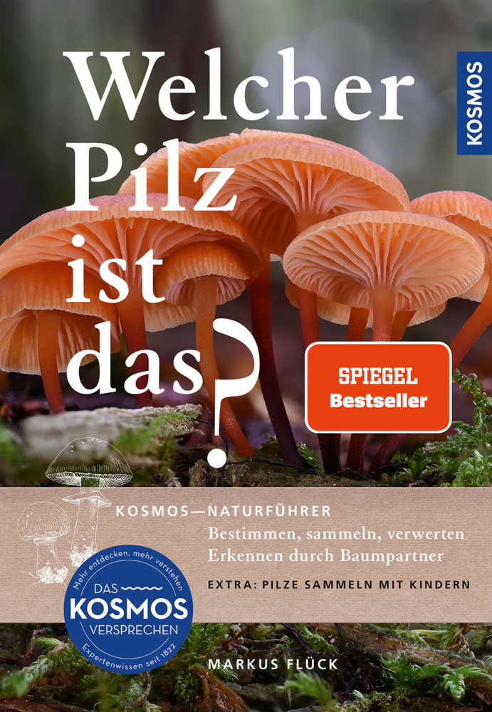Welcher Pilz ist das? main product photo