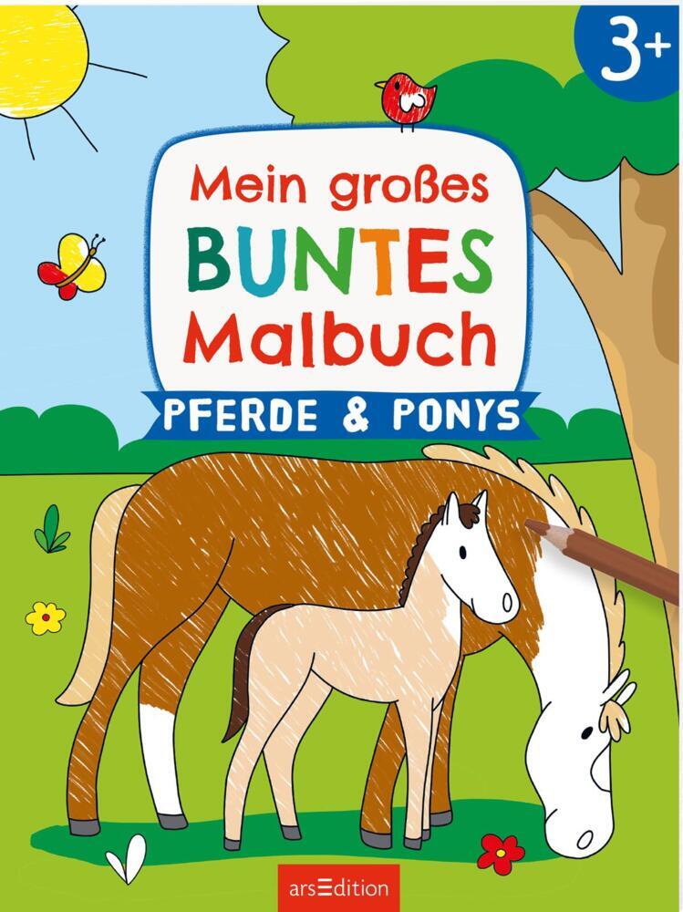 Mein großes buntes Malbuch - Pferde und Ponys main product photo