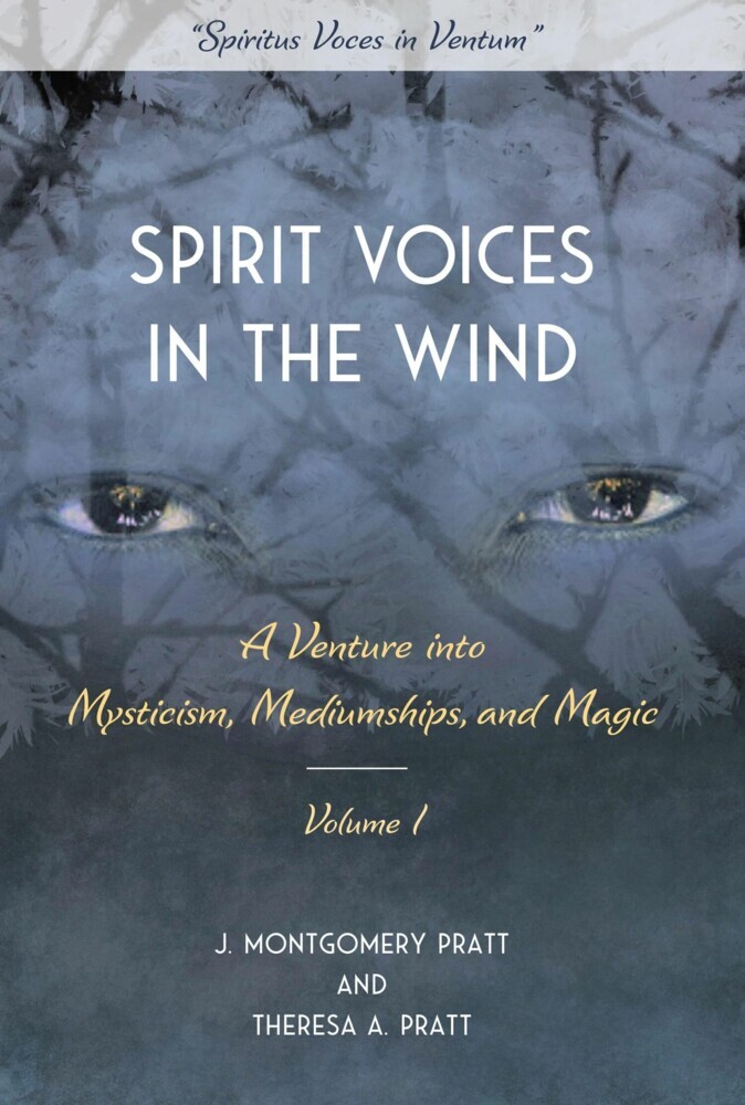 Spirit Voices in the Wind main product photo