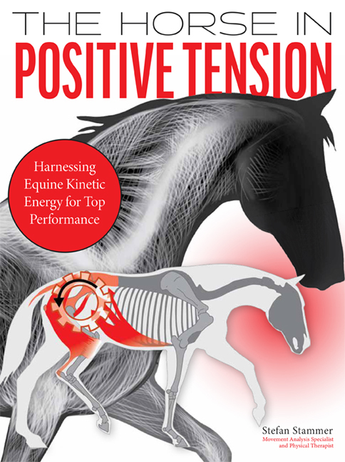 The Horse in Positive Tension main product photo
