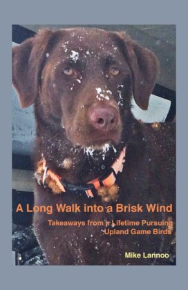 A Long Walk into a Brisk Wind