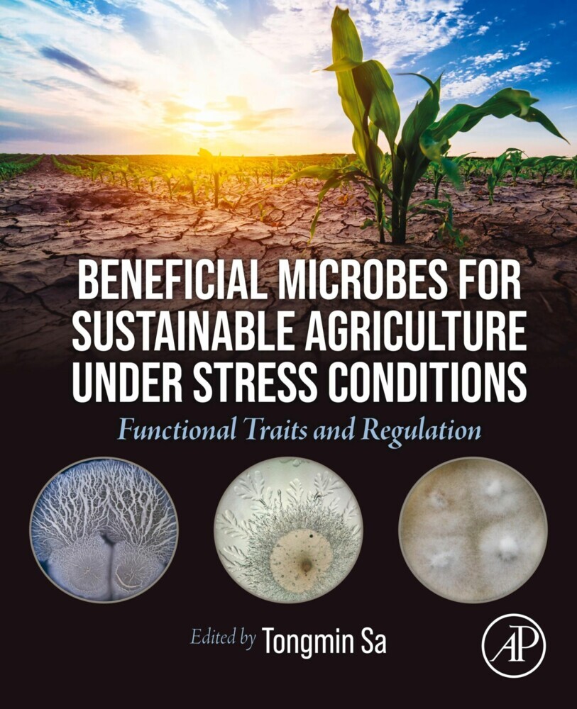 Beneficial Microbes for Sustainable Agriculture under Stress Conditions main product photo