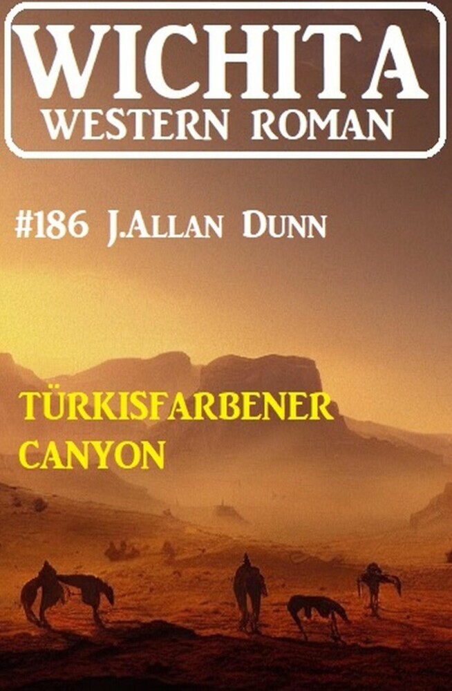 Türkisfarbener Canyon: Wichita Western Roman 186 main product photo