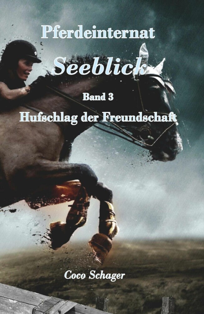 Pferdeinternat Seeblick Band 3 main product photo