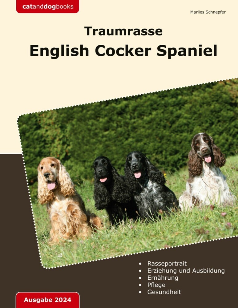 Traumrasse: English Cocker Spaniel main product photo