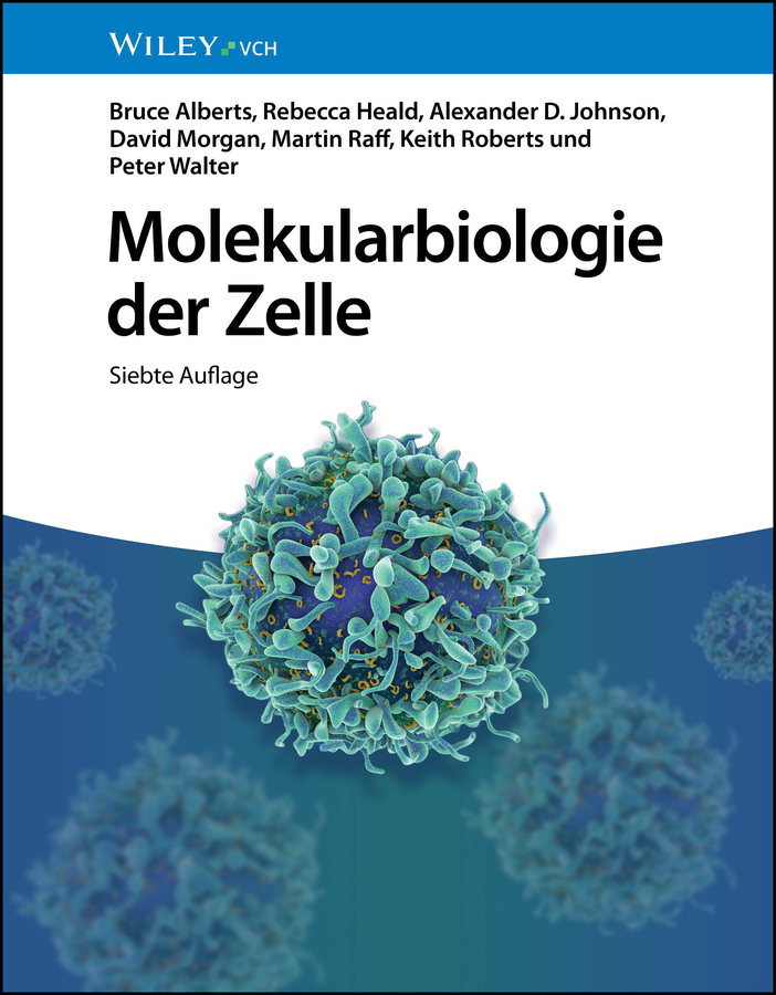 Molekularbiologie der Zelle main product photo