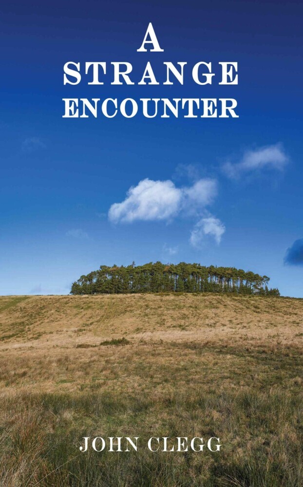 A Strange Encounter main product photo