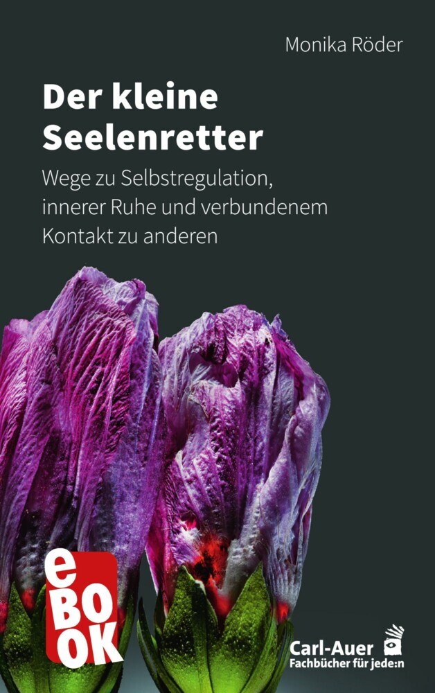 Der kleine Seelenretter main product photo