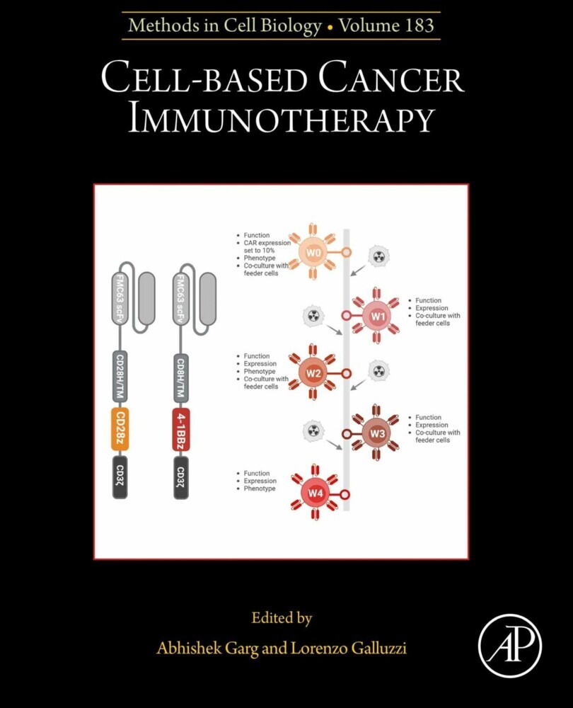 Cell-based Cancer Immunotherapy main product photo