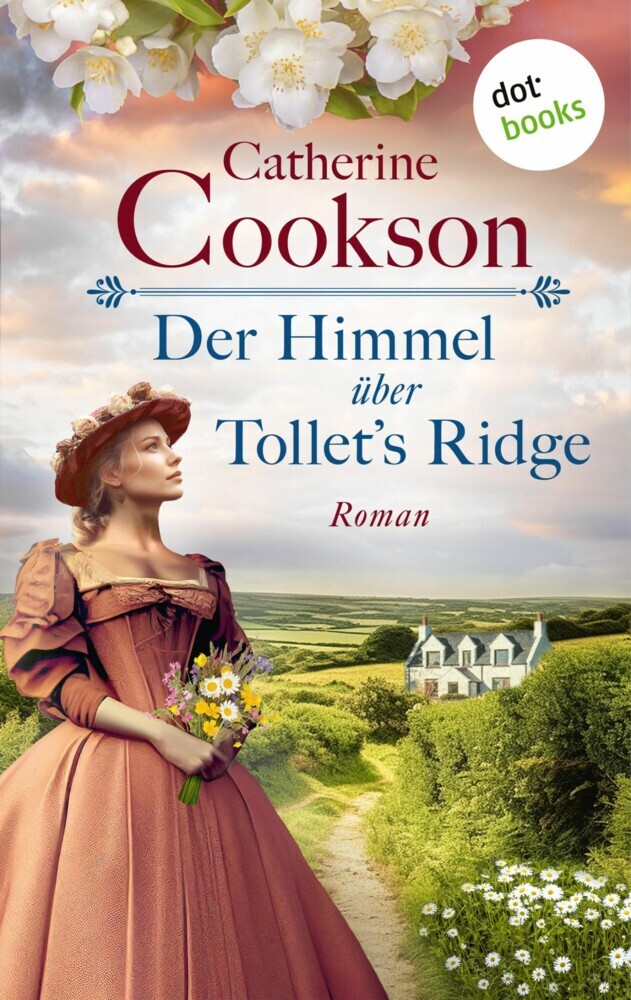 Der Himmel über Tollet's Ridge main product photo