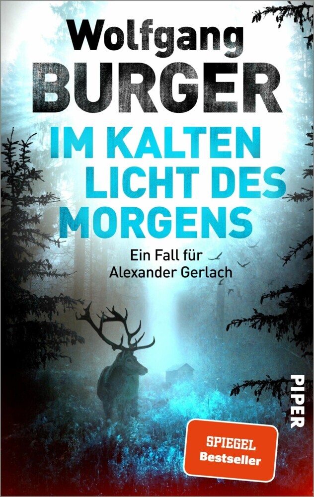 Im kalten Licht des Morgens main product photo