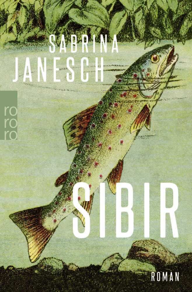 Sibir main product photo