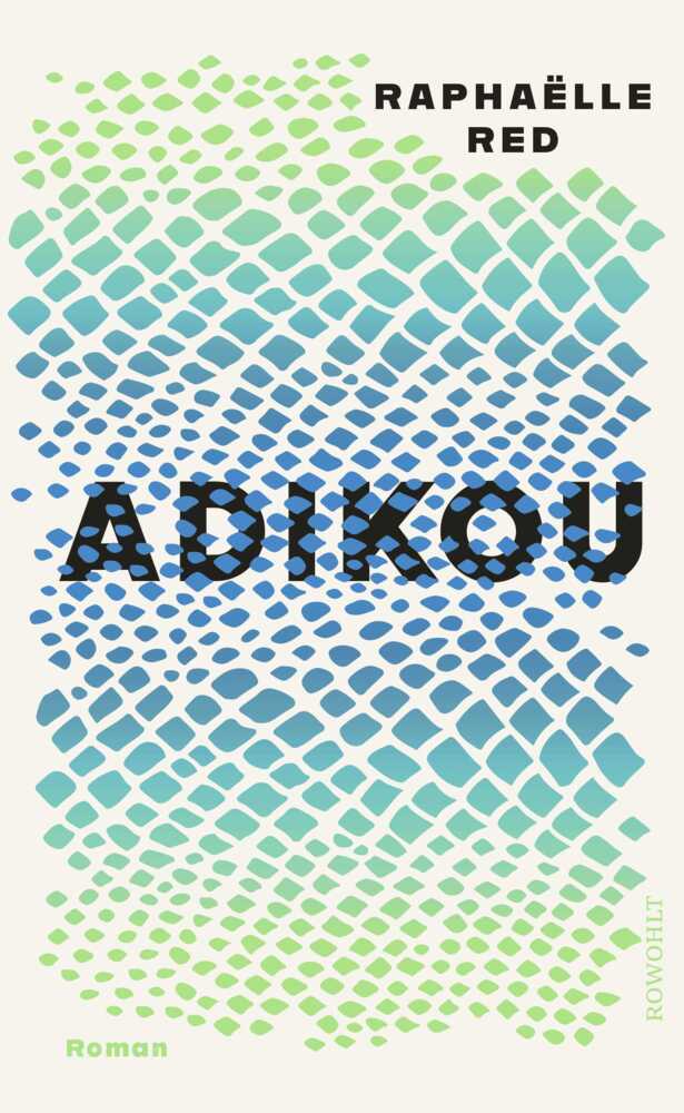 Adikou main product photo