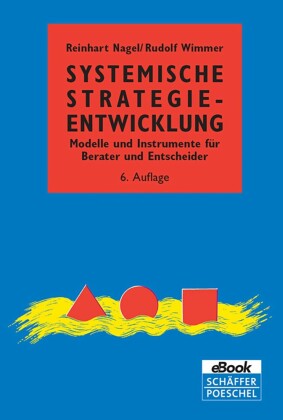 Systemische Strategieentwicklung