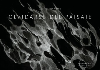 Olvidarse del paisaje