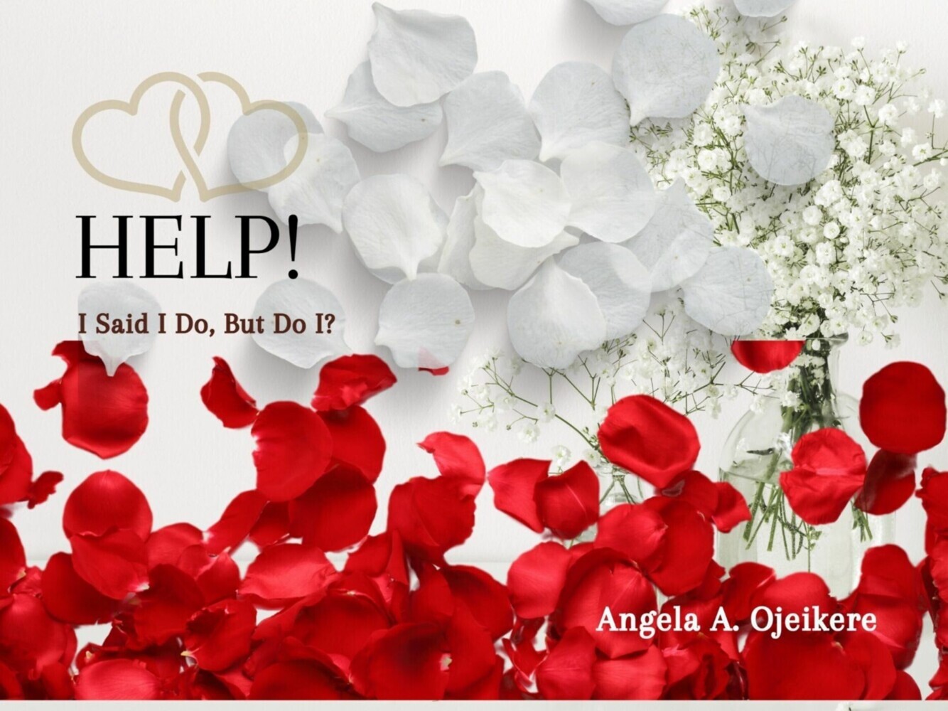 Help I Said I Do But Do I main product photo