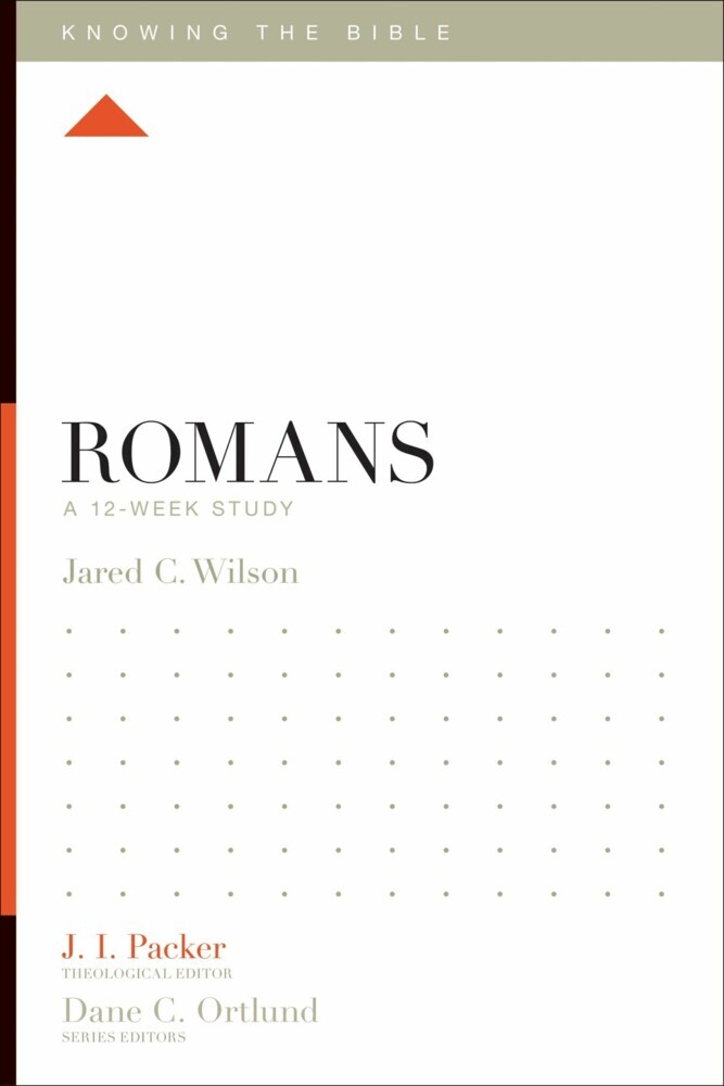 Romans main product photo