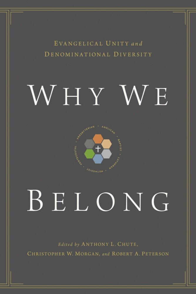 Why We Belong main product photo