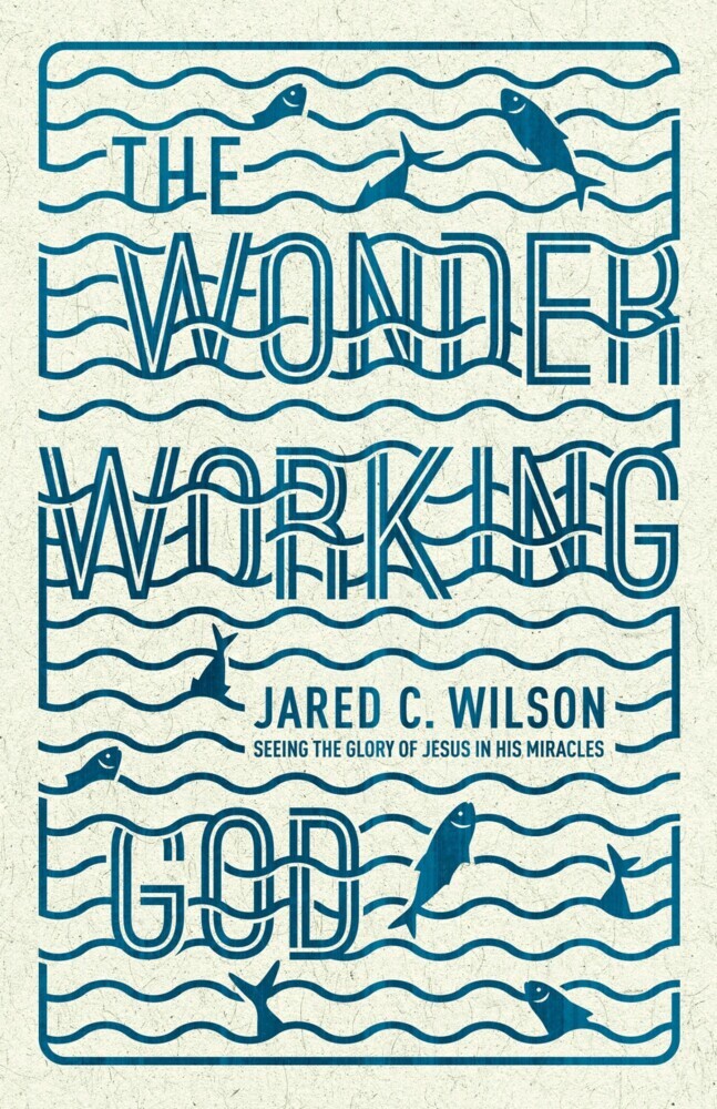 The Wonder-Working God main product photo