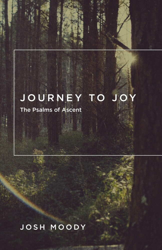 Journey to Joy main product photo