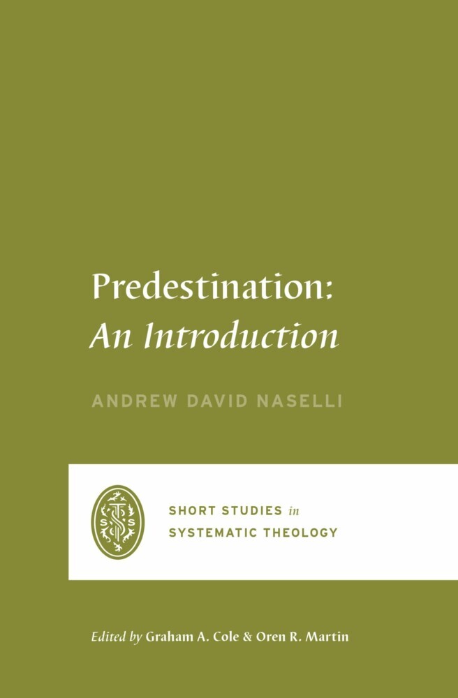 Predestination main product photo