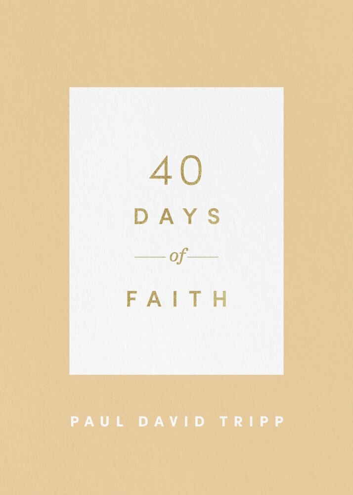 40 Days of Faith main product photo