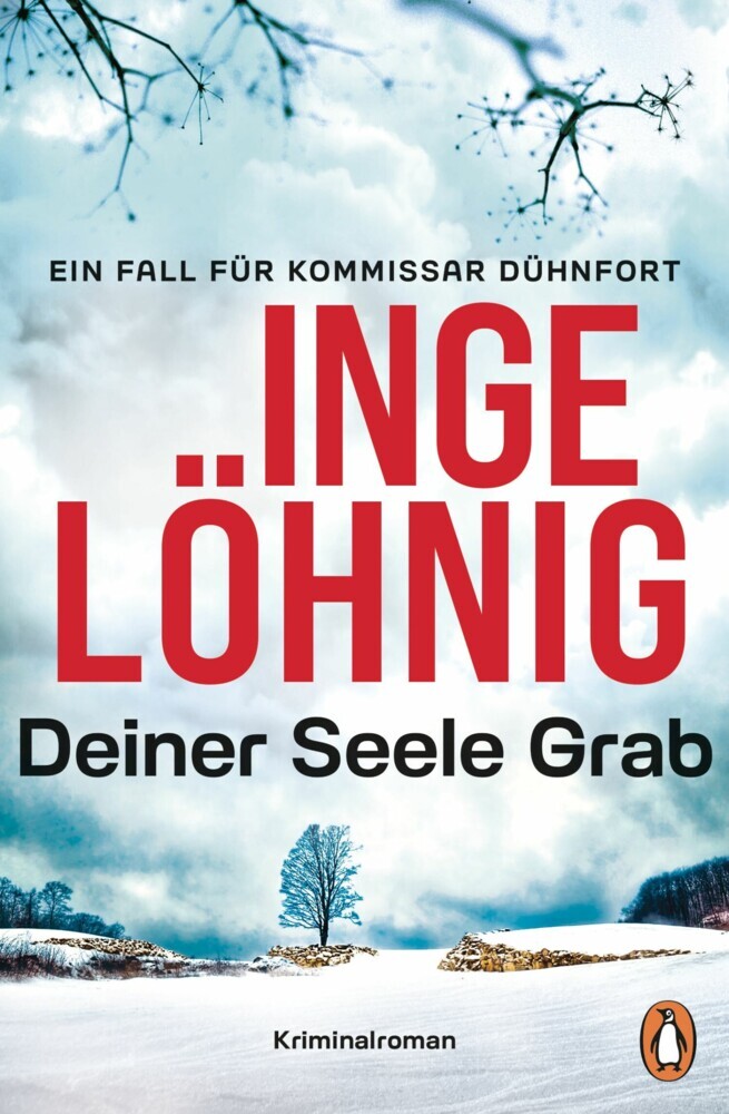 Deiner Seele Grab (Dühnfort 6) main product photo