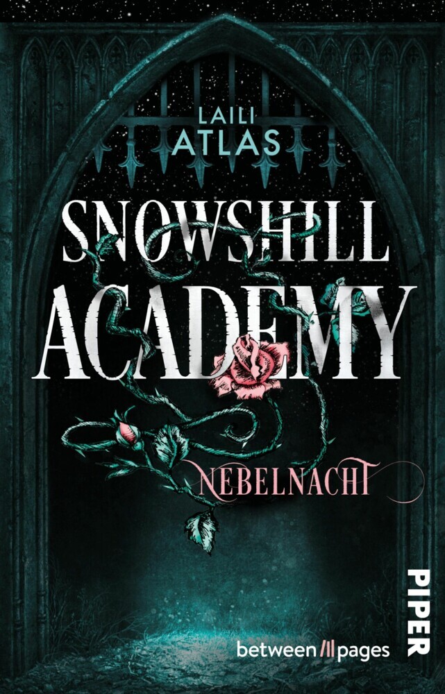 Snowshill Academy - Nebelnacht main product photo