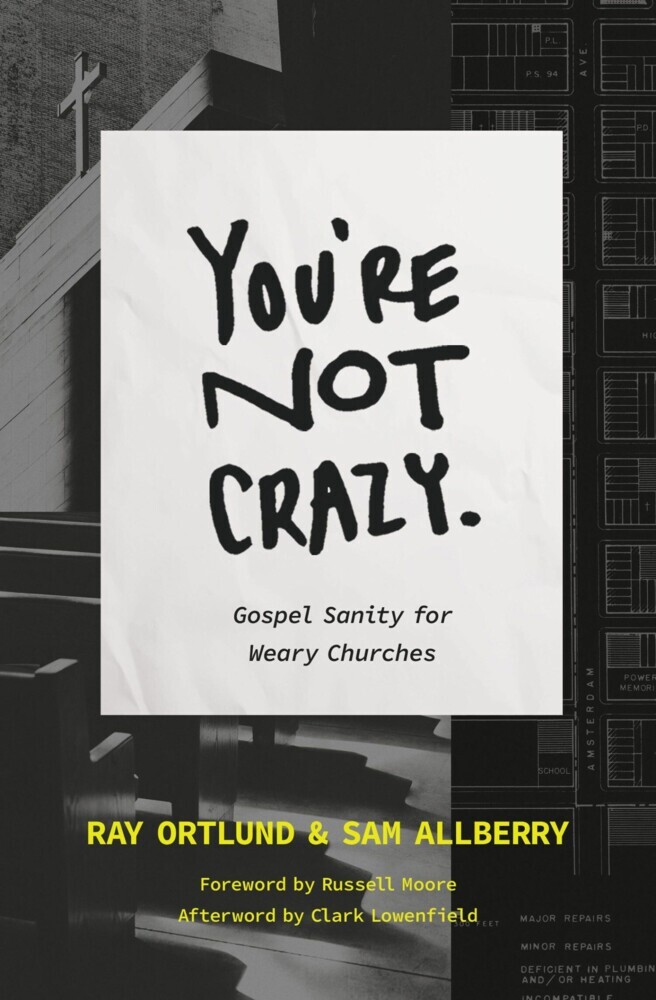 You're Not Crazy main product photo