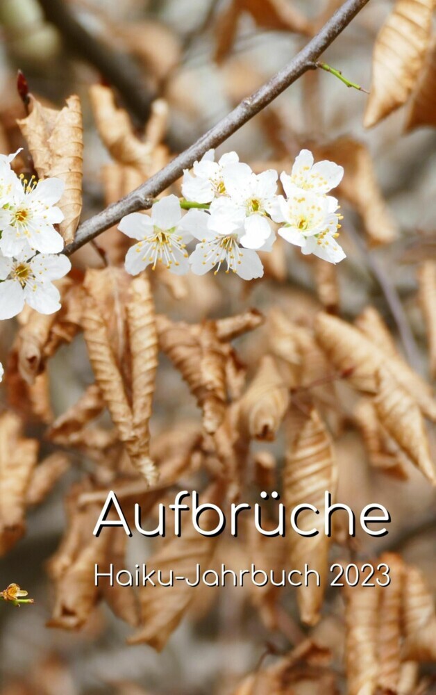 Aufbrüche main product photo