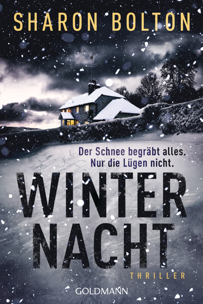 Winternacht - Der Schnee begräbt alles. Nur die Lügen nicht main product photo