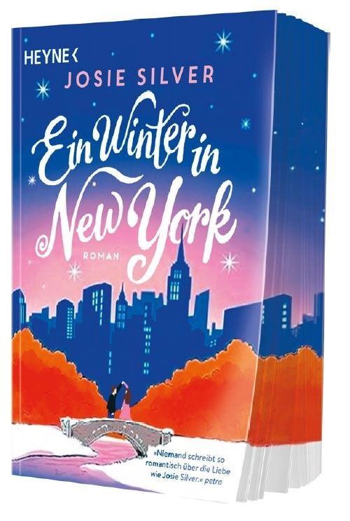 Ein Winter in New York main product photo