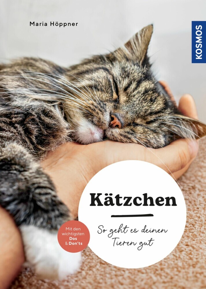 Kätzchen main product photo