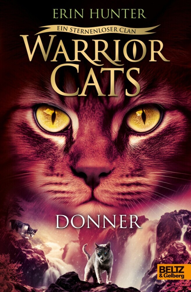 Warrior Cats - Ein sternenloser Clan. Donner main product photo