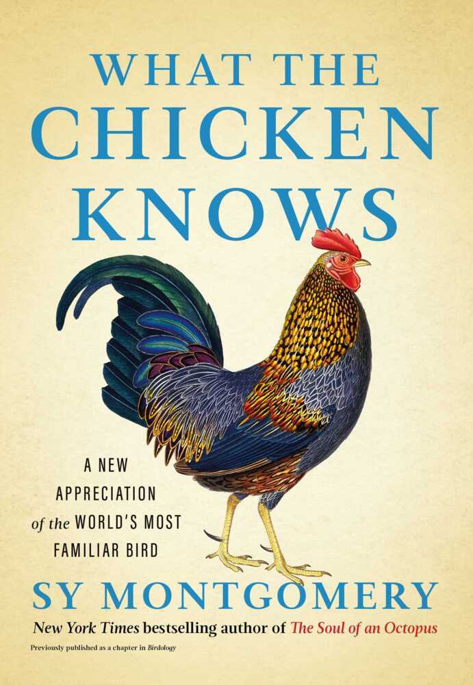 What the Chicken Knows main product photo