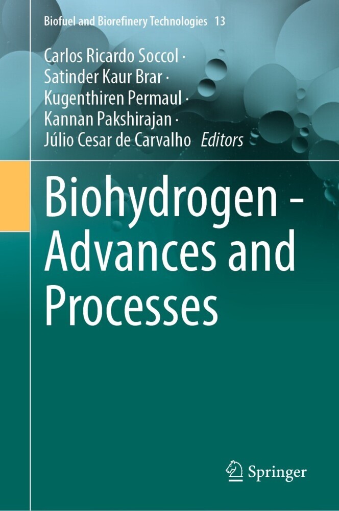 Biohydrogen - Advances and Processes main product photo