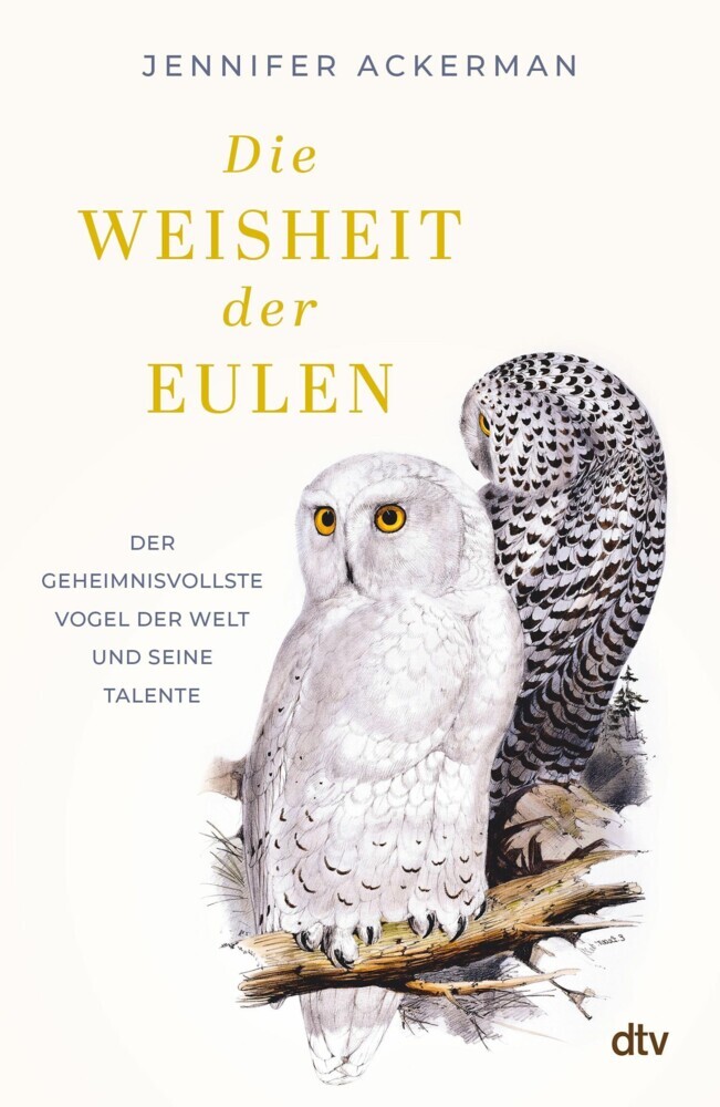 Die Weisheit der Eulen main product photo