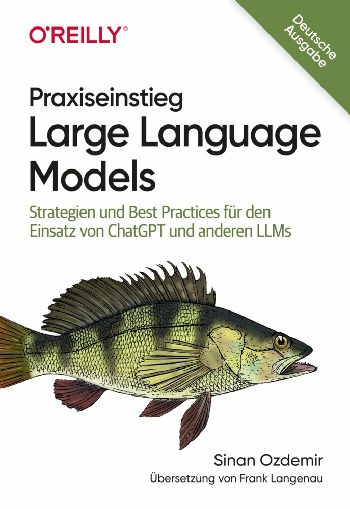 Praxiseinstieg Large Language Models main product photo