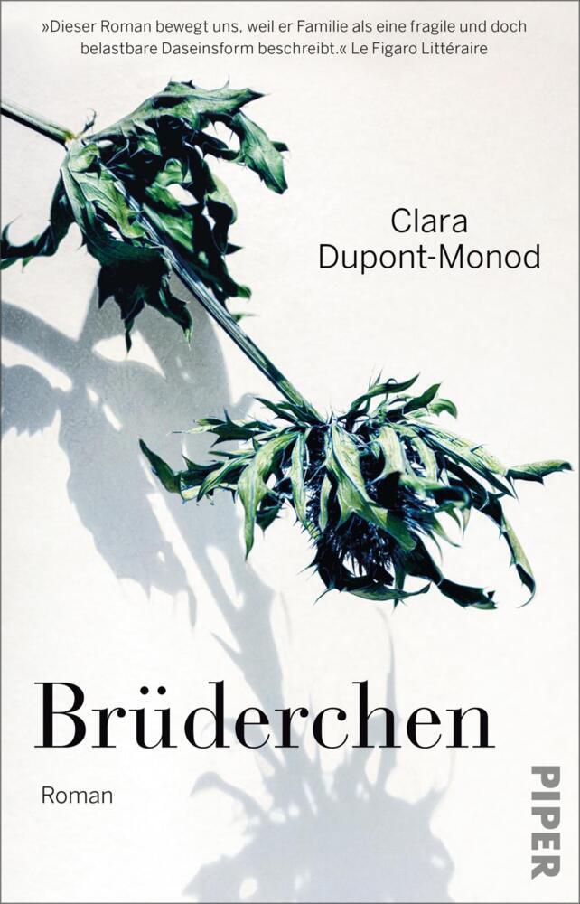Brüderchen main product photo