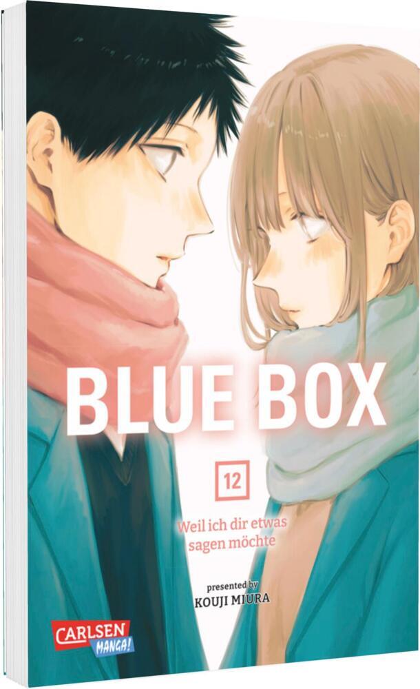 Blue Box 12 main product photo